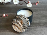 Caramel Sugar Cookie | Coffee Shop Collection | 6 Oz Tin