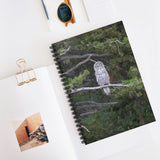 Spiral Notebook - Great Grey Owl