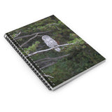 Spiral Notebook - Great Grey Owl