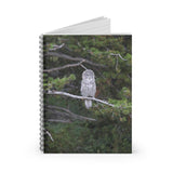 Spiral Notebook - Great Grey Owl